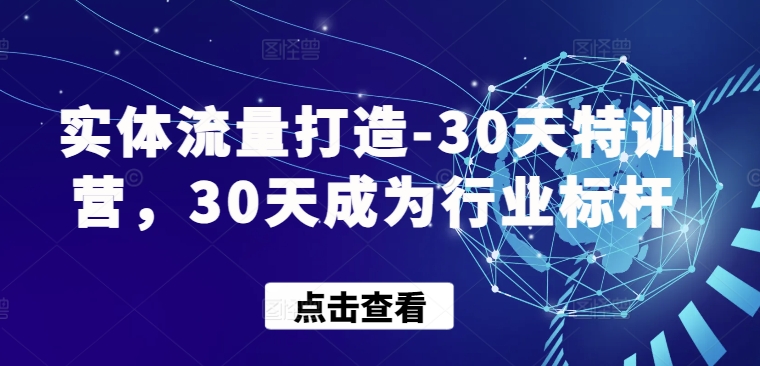 实体流量打造-30天特训营，30天成为行业标杆-古书籍
