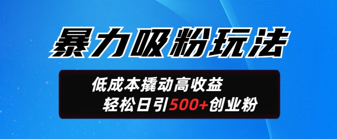 暴力吸粉玩法，日引500+精准创业粉，日变现轻松多张-古书籍