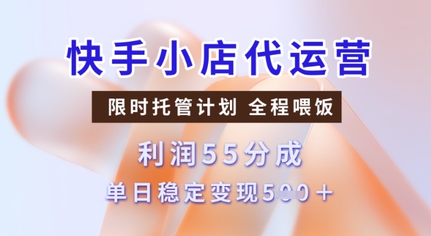 快手小店代运营3.0，模式新升级，收益55分，稳定单日5张【揭秘】-古书籍